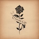 Thorns