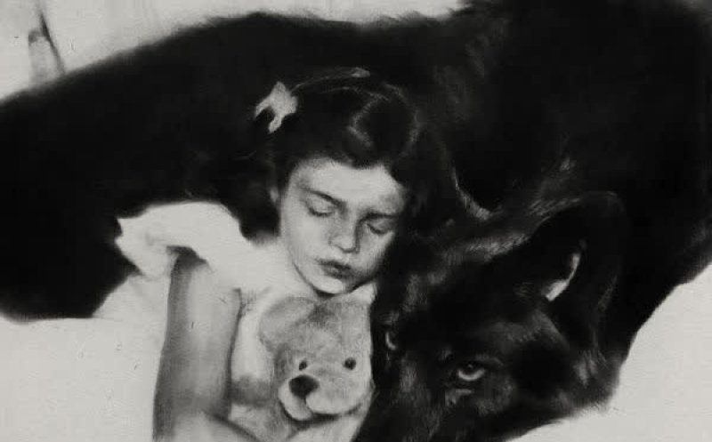 White Feather Hawk Tail Deer Hunter