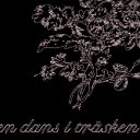 En Dans I Tr&auml;sken