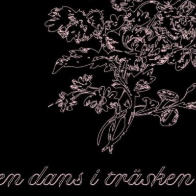 En Dans I Tr&auml;sken