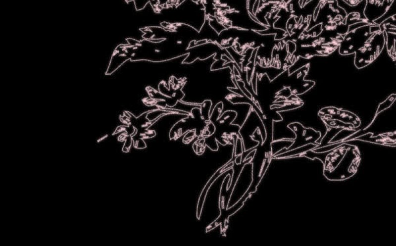 En Dans I Tr&auml;sken