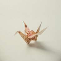 ORIGAMI!