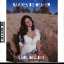 Say Yes To Heaven