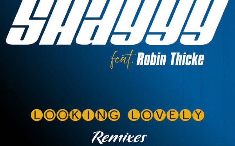Looking Lovely (feat. Robin Thicke & ZEDDY WILL) (Remix)