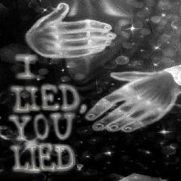 I Lied, You Lied