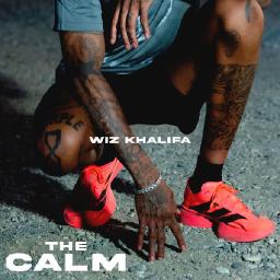 The Calm