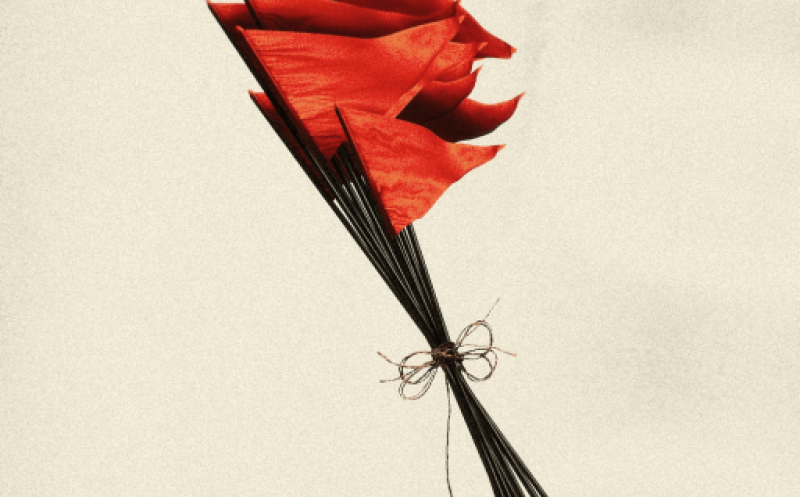 Red flag collector
