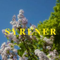 Syrener