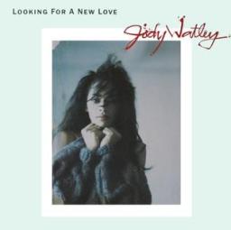 Looking For a New Love