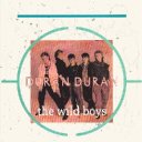 Wild Boys
