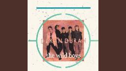 Wild Boys