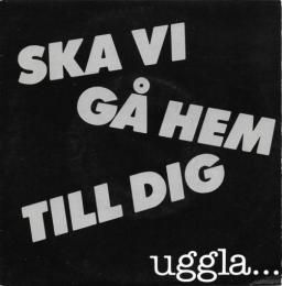Ska vi g&aring; hem till dig