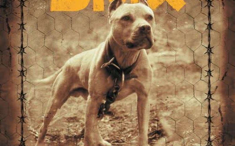 X Gon' Give It To Ya