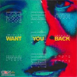 Want You Back