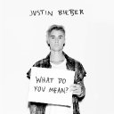 What Do You Mean