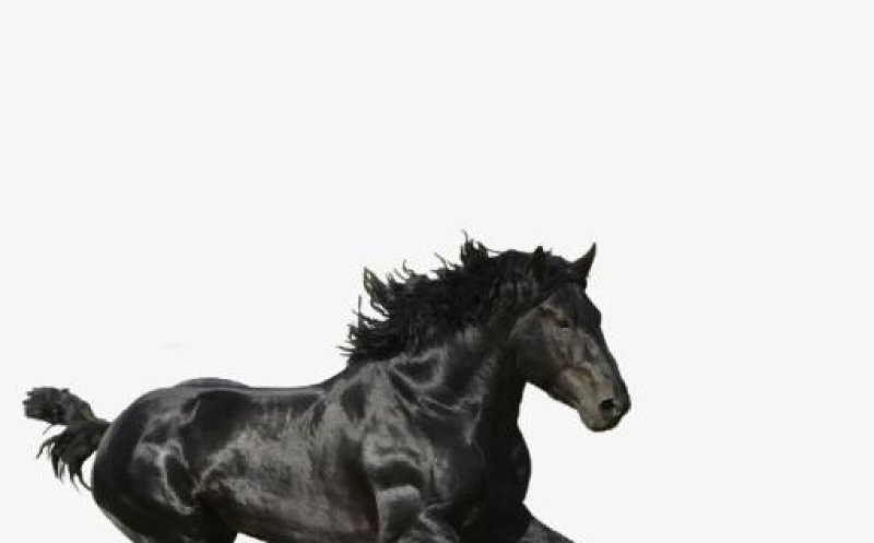 Old Town Road
