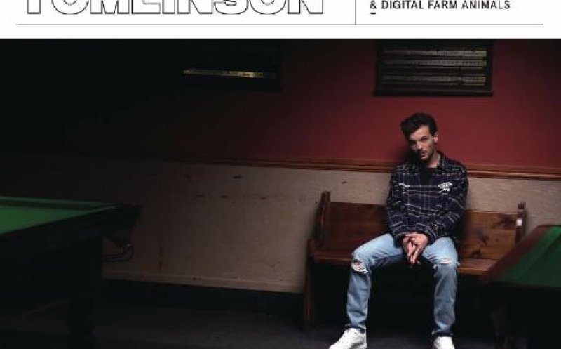 Back to You (feat. Bebe Rexha & Digital Farm Animals)