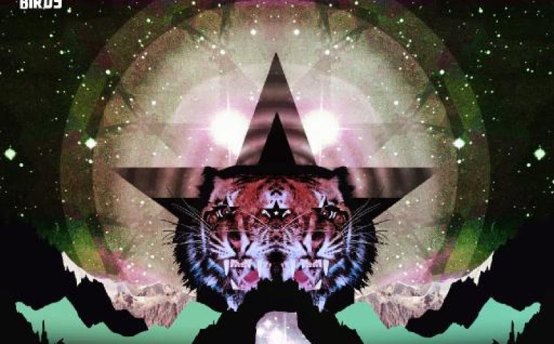 Black Star Dancing