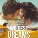 Wildest Dreams