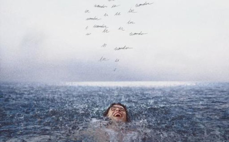 Wonder