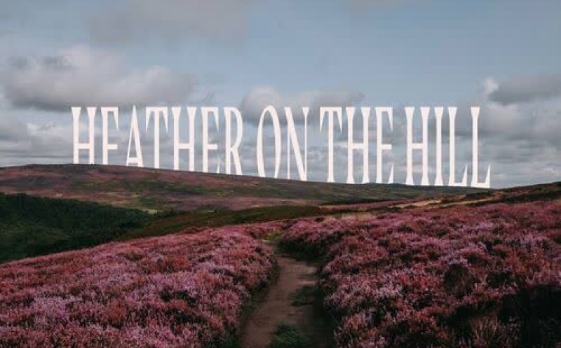 Heather On The Hill