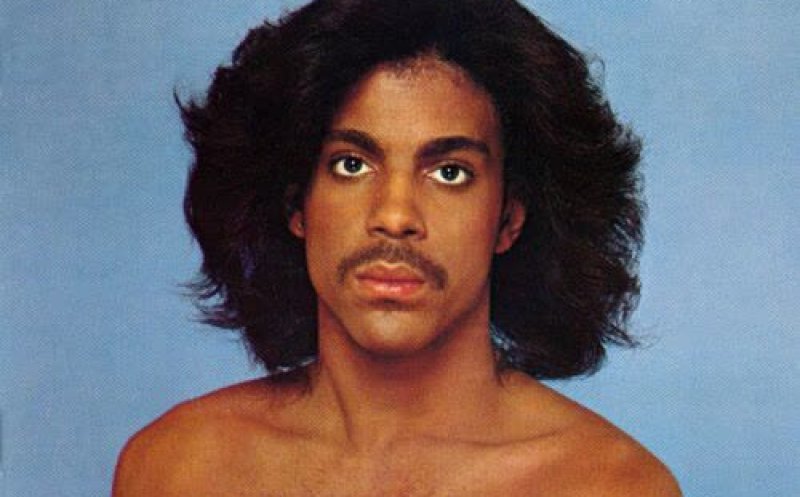I Wanna Be Your Lover