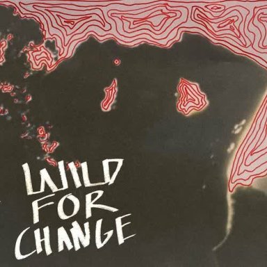Wild For Change