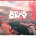 Birds In The Sky