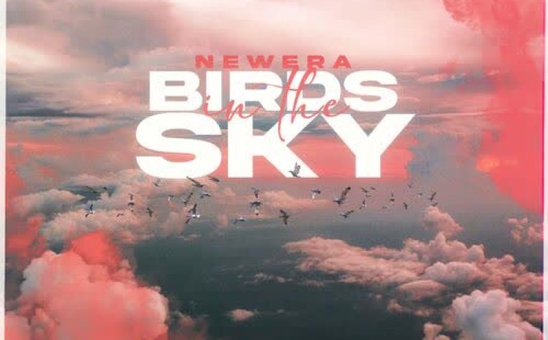Birds In The Sky