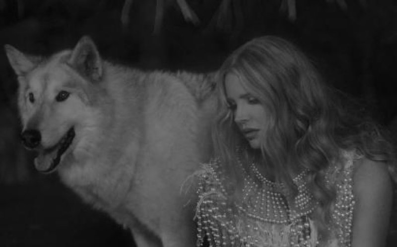 Chemtrails Over The Country Club