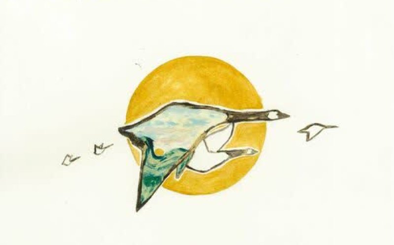 Wild Geese, Wild Love