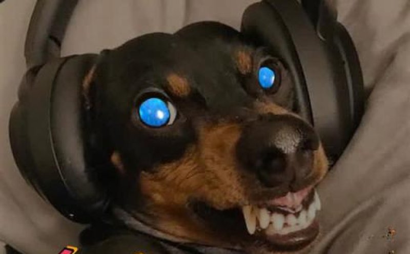 Solar Eyes