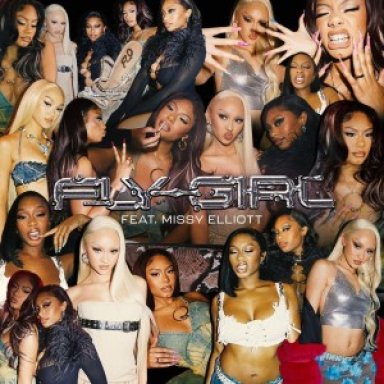Fly Girl (ft Missy Elliott)