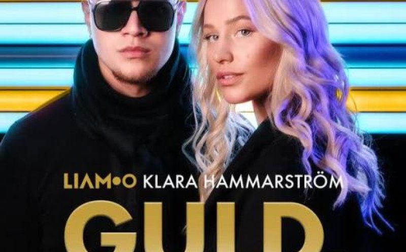 Guld, svett & t&aring;rar (Sveriges Officiella OS-l&aring;t Peking 2022)