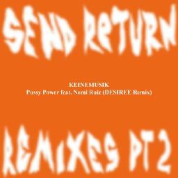 Pussy Power (DESIREE Remix)