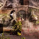 Lights Camera Action