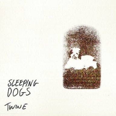 Sleeping Dogs