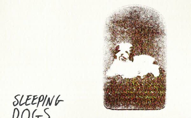 Sleeping Dogs