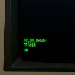 &Auml;r du galen