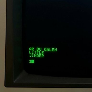 &Auml;r du galen