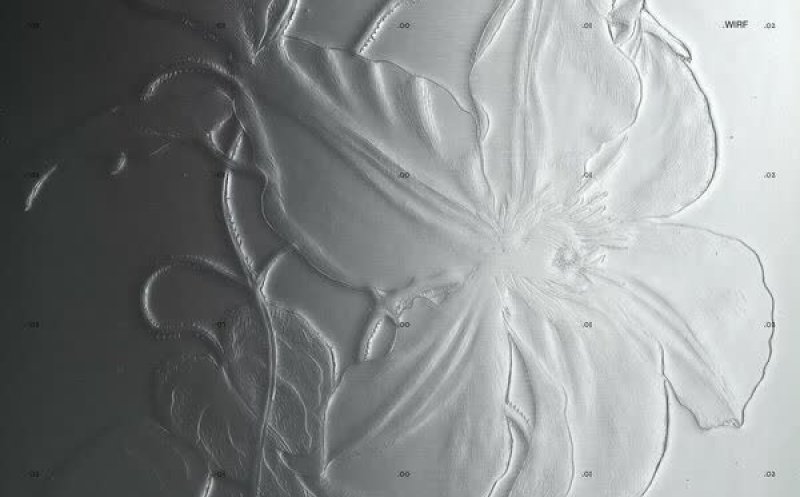 I Can't Wait All Night