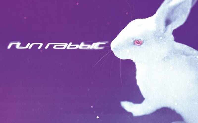 Run Rabbit