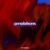 Problem