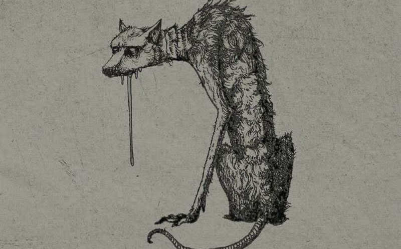 Dog's Dinner
