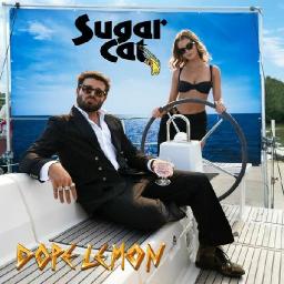 Sugarcat