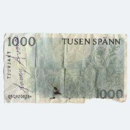 Tusen sp&auml;nn (feat Fanny Avonne)