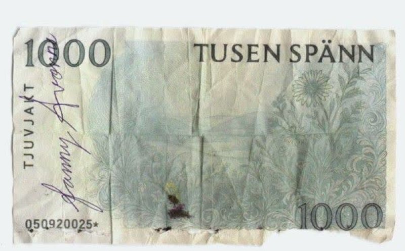 Tusen sp&auml;nn (feat Fanny Avonne)