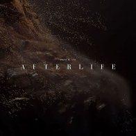Afterlife