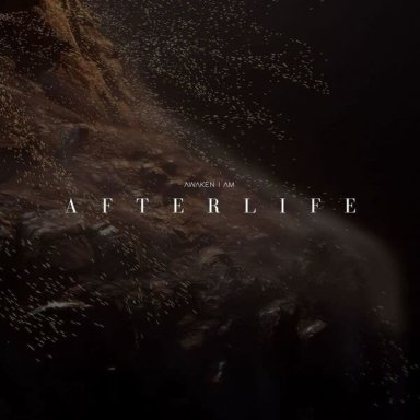 Afterlife