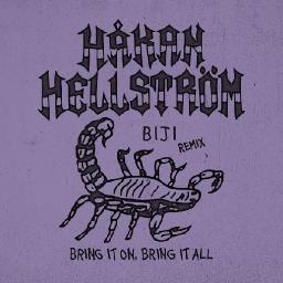 Bring it on, bring it all (BIJI Remix)